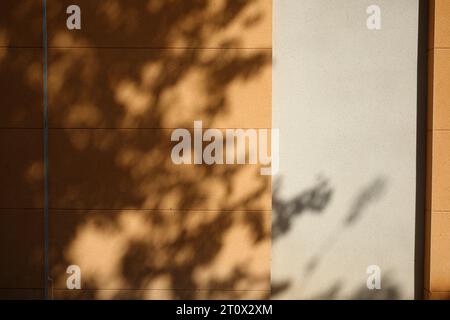 Texture, lines, stone. Modern building closeup suitable as an abstract background. Dappled tree shadow on rendered wall surface. Stock Photo