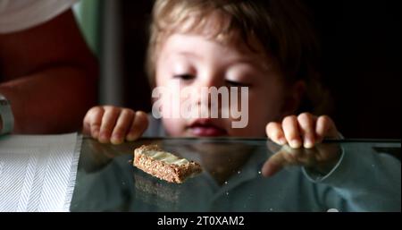 Child snacking bread and butter. Baby boy leaning on glass table grabbing food Stock Photo