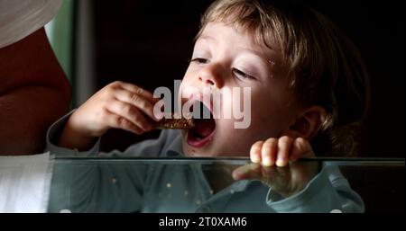 Child snacking bread and butter. Baby boy leaning on glass table grabbing food Stock Photo