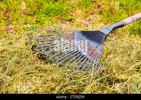 metal rake lies on dry grass in the garden. hay making. garden cleaning ...