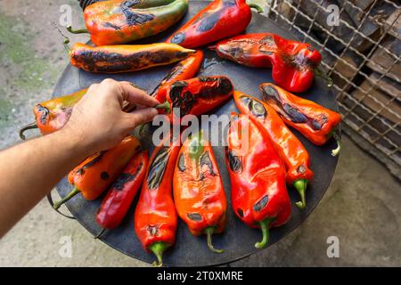 Red peppers arranged on the stoves burner, fired by wood. A hand turns them. Its an autumn day, and the process takes place outdoors in the yard. Stock Photo