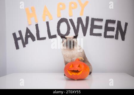 happy halloween Stock Photo