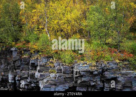 September 14, 2023: The autumn season is relatively short in northern Sweden; however, the colors and the region's geology are stunning along the Karsajakka River and the Kungsleden Trail, also known as the King's Trail. Abisko National Park, Abisko, Sweden. The Kungsleden is one of the world's most magnificent long distance hiking trails. The trail is over 430km long and travels from Abisko in the north to the southern terminus in Hemavan. Supported by 16 mountain cabins, the trail is popular for hikers during the summer months and for ski touring during the winter. Stock Photo