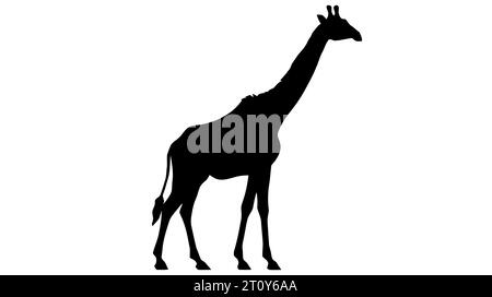 Silhouette of a giraffe isolated on white background. Stock Vector