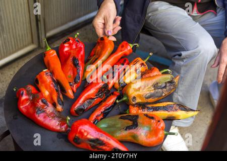 A close up of a woman roasting large red peppers on the burner of a wood fired stove. She turns them by hand to avoid excessive charring Stock Photo