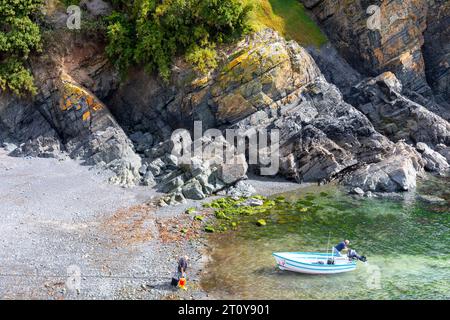Cadgwith village on the Lizard Peninsula, Cornwall,England Stock Photo