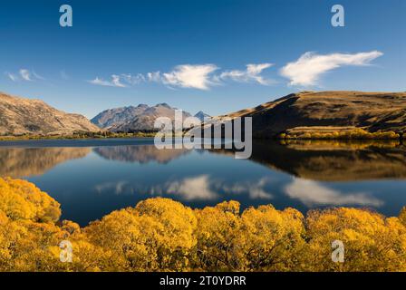 Autumn colors on Lake Hayes located in the Wakatipu Basin in Central Otago, South Island in New Zealand Stock Photo