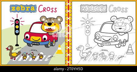 Vector cartoon of duck family cross road, cute cat on car, traffic elements, coloring page or book Stock Vector