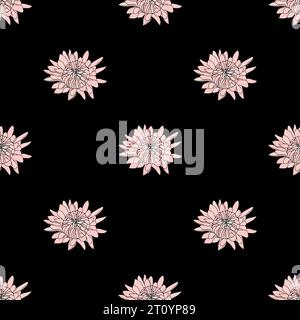 Vector botanical hand drawn pattern of asters flowers, daisies  Stock Vector