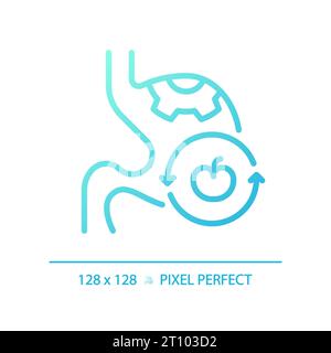 2D thin line gradient digestive system with fruit icon Stock Vector