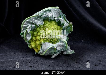 Green romanesco pyramid broccoli on wet black velvet, closeup. Stock Photo