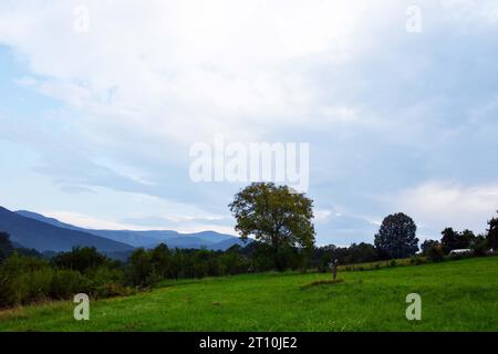 Green meadow on the slope, with a view of the mountain peaks. Cloudy sky in the background Stock Photo