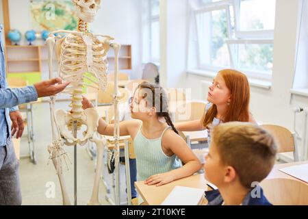 Curious male and female students looking at human skeleton while sitting in classroom Stock Photo