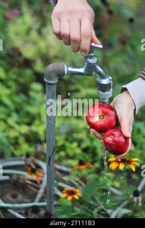 Female hands washing two red apples under the water jet flowing from the tap in garden. Woman is closing the tap. Selective focus. Blur Stock Photo