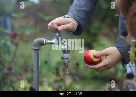 Hands of young woman washing two red apples under the water jet flowing from the tap in garden. Female opens or closes the tap. Translation of the phr Stock Photo