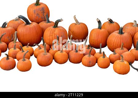 Real pumpkins of different sizes isolated on white background Stock Photo