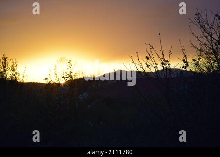 sun behind branches Stock Photo