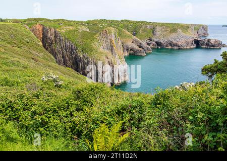 The view of the cliffs towards Lydstep Point from Skrinkle Haven, Lydstep in the Pembrokeshire Coast National Park, West Wales UK Stock Photo