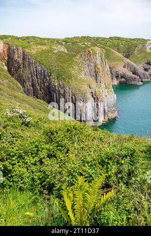 A view of the cliffs towards Lydstep Point from Skrinkle Haven, Lydstep in the Pembrokeshire Coast National Park, West Wales UK Stock Photo