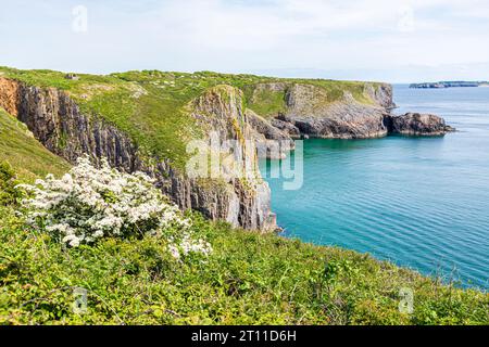 A view of the cliffs towards Lydstep Point from Skrinkle Haven, Lydstep in the Pembrokeshire Coast National Park, West Wales UK Stock Photo