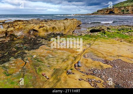 Hopeman Moray Coast Scotland shelf of golden sandstone rock on the beach Stock Photo