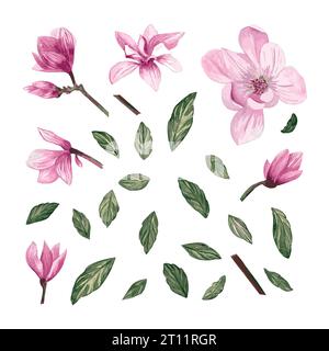 Set of watercolor magnolia flowers and leaves. Isolated elements with magnolia flowers, branches and leaves. Watercolor Stock Vector
