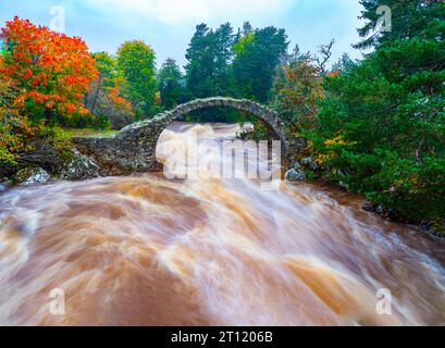 River Dulnain in spate flowing under the Old Pack Horse Bridge at Carrbridge in Scottish highlands, Scotland UK Stock Photo