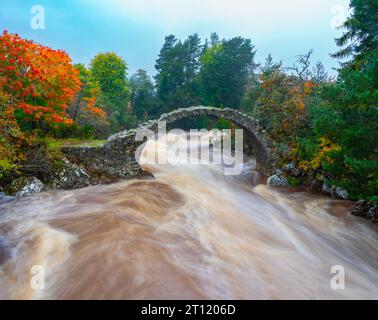 River Dulnain in spate flowing under the Old Pack Horse Bridge at Carrbridge in Scottish highlands, Scotland UK Stock Photo