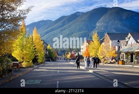 Autumn Trees, Banff Alberta Stock Photo