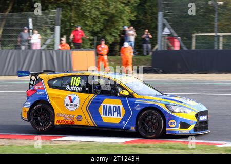 Championship Winner Ashley Sutton - Napa Racing UK -  driving Ford Focus ST number 116 in the 2023 BTCC at Brands Hatch in October 2023 Stock Photo