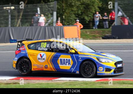 Championship Winner Ashley Sutton - Napa Racing UK -  driving Ford Focus ST number 116 in the 2023 BTCC at Brands Hatch in October 2023 Stock Photo