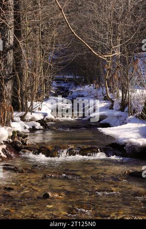 Winterstimmung am See Stock Photo