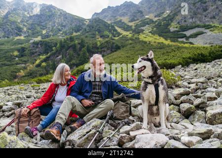 Active elderly couple with dog hiking in autumn mountains, on senior friendly trail. Senior tourists resting, petting their Siberian Husky dog. Stock Photo