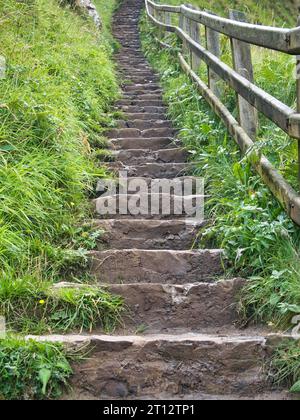 A steep flight of stone steps on a walking trail, surrounded by lush, green foliage and a wooden handrail on the right. Stock Photo