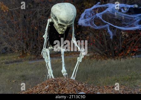Halloween skeleton yard decorations Stock Photo