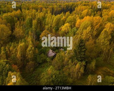 Old ruined house surrounded by autumn forest Stock Photo