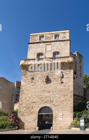 Montpellier, France - 10 01 2023 : Vertical view of historic monument and ancient observatory Tour de la Babote or Babotte tower Stock Photo