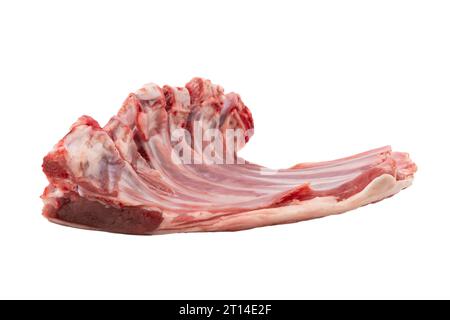 Raw lamb chops isolated on a white background. Raw fresh rack of lamb isolated. Lamb Ribs  Raw Meat  Isolated over white Stock Photo