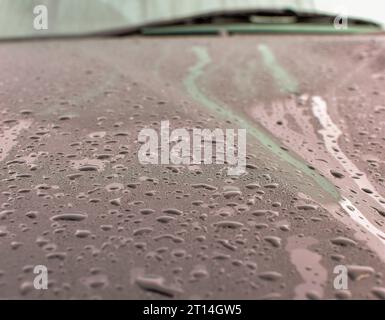 Condensation on the bonnet of a dark colour car with a windscreen wiper out of focus in the background. Stock Photo