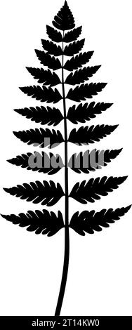 Fern leaf silhouette. Vector illustration Stock Vector