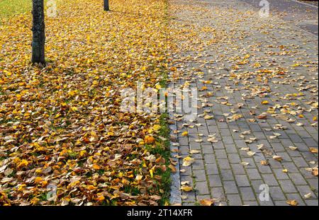 Walkway covered with beautiful yellow autumn leaves on stone brick street. Sunny autumn day outdoors. Stock Photo