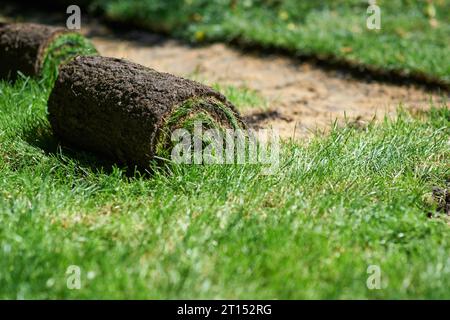 making new green lawn using roll grass Stock Photo