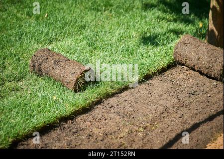 making new green lawn using roll grass Stock Photo