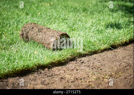 making new green lawn using roll grass Stock Photo
