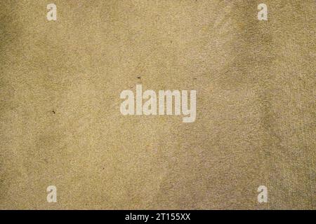 Texture of a beige carpet Stock Photo