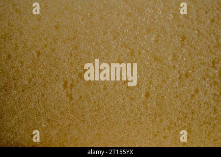 detail of yellow foam rubber texture Stock Photo
