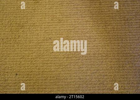 Texture of a beige carpet Stock Photo