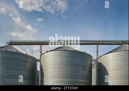 Silage Drying Building Building for storage and drying of grain crops. Agricultural Silo ...