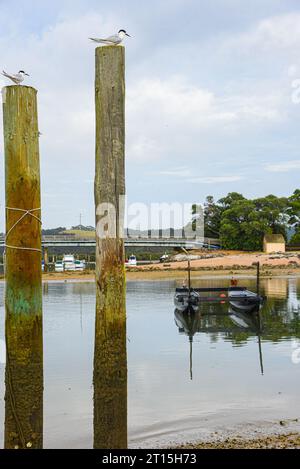 View to the pier sand and rock,  Bay of Islands in New Zealand Stock Photo