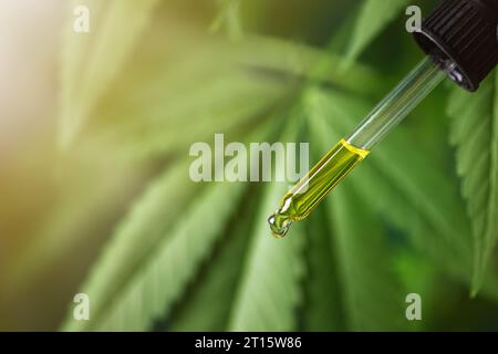 CBD hemp oil in a droplet against cannabis leaf. Hemp herbal alternative medicine. Stock Photo